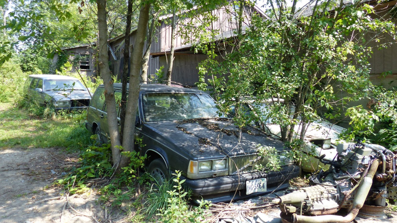 Illustration for article titled A Michigan Town Is Forcing This Man To Sell 20 Old Cars Off His Property Every Month